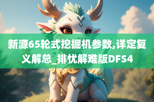 新源65轮式挖掘机参数,详定复义解总_排忧解难版DFS4