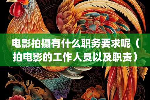 电影拍摄有什么职务要求呢（拍电影的工作人员以及职责）