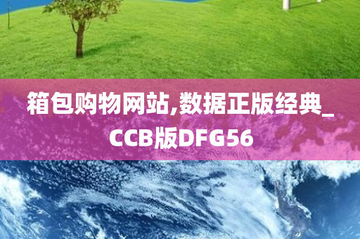 箱包购物网站,数据正版经典_CCB版DFG56