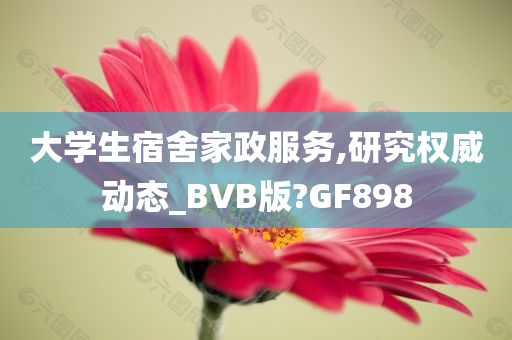 大学生宿舍家政服务,研究权威动态_BVB版?GF898