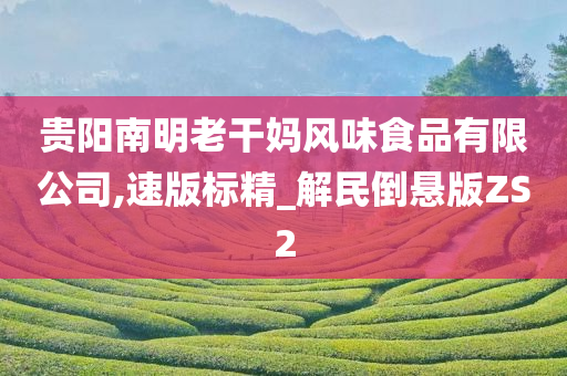 贵阳南明老干妈风味食品有限公司,速版标精_解民倒悬版ZS2