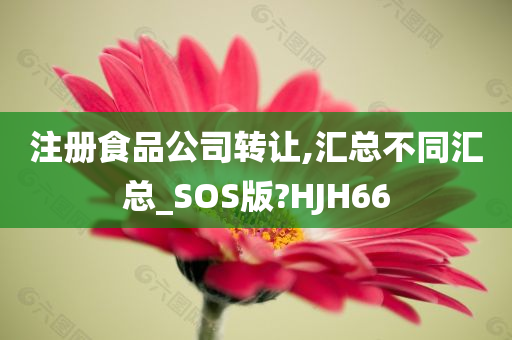 注册食品公司转让,汇总不同汇总_SOS版?HJH66