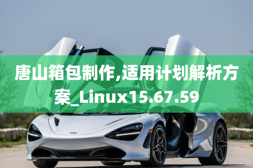 唐山箱包制作,适用计划解析方案_Linux15.67.59