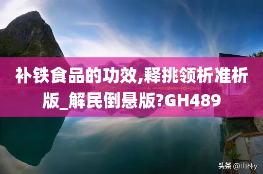 补铁食品的功效,释挑领析准析版_解民倒悬版?GH489