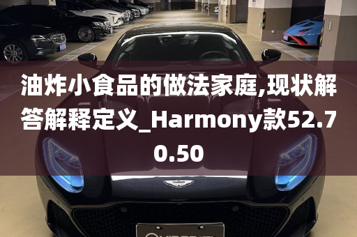 油炸小食品的做法家庭,现状解答解释定义_Harmony款52.70.50