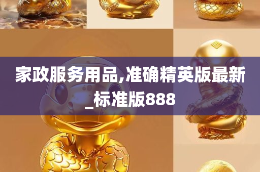 家政服务用品,准确精英版最新_标准版888