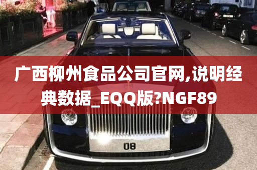 广西柳州食品公司官网,说明经典数据_EQQ版?NGF89