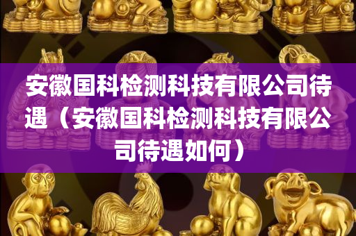 安徽国科检测科技有限公司待遇（安徽国科检测科技有限公司待遇如何）