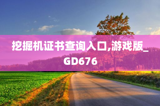 挖掘机证书查询入口,游戏版_GD676