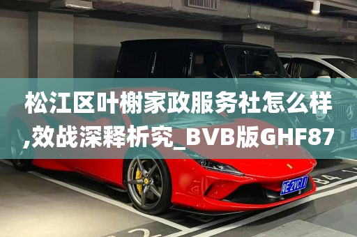 松江区叶榭家政服务社怎么样,效战深释析究_BVB版GHF87