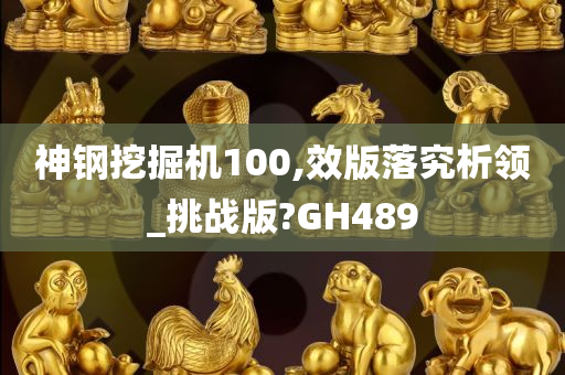 神钢挖掘机100,效版落究析领_挑战版?GH489