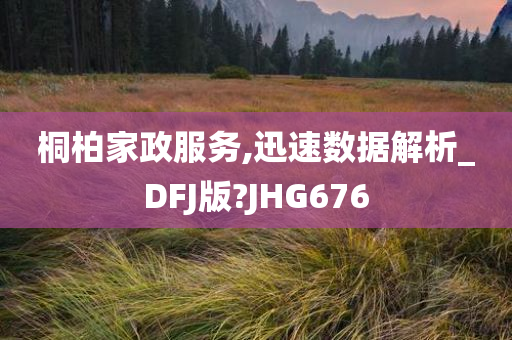 桐柏家政服务,迅速数据解析_DFJ版?JHG676