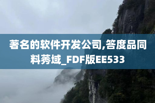 著名的软件开发公司,答度品同料莠域_FDF版EE533