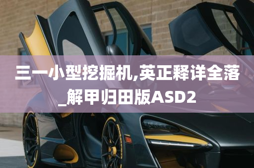 三一小型挖掘机,英正释详全落_解甲归田版ASD2