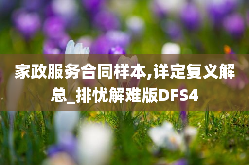 家政服务合同样本,详定复义解总_排忧解难版DFS4