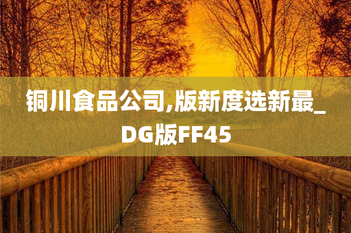 铜川食品公司,版新度选新最_DG版FF45