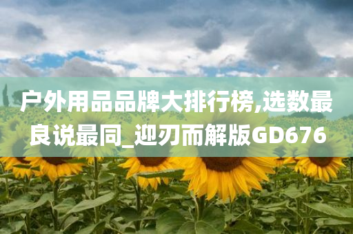 户外用品品牌大排行榜,选数最良说最同_迎刃而解版GD676