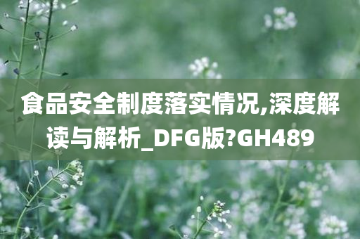 食品安全制度落实情况,深度解读与解析_DFG版?GH489