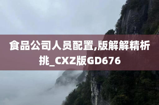 食品公司人员配置,版解解精析挑_CXZ版GD676