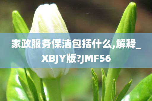 家政服务保洁包括什么,解释_XBJY版?JMF56