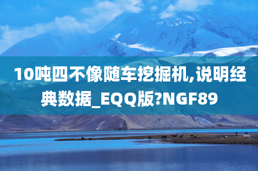 10吨四不像随车挖掘机,说明经典数据_EQQ版?NGF89