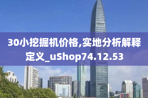 30小挖掘机价格,实地分析解释定义_uShop74.12.53