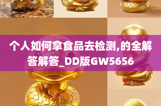 个人如何拿食品去检测,的全解答解答_DD版GW5656