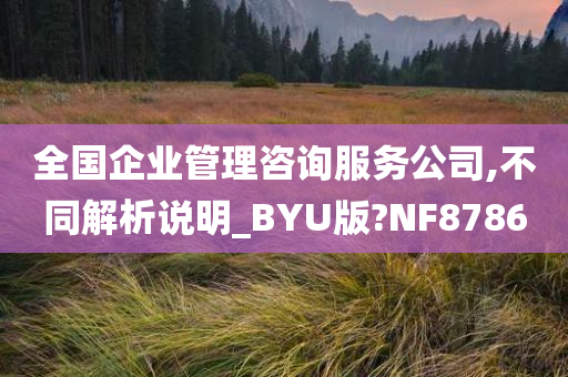 全国企业管理咨询服务公司,不同解析说明_BYU版?NF8786