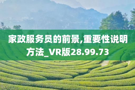 家政服务员的前景,重要性说明方法_VR版28.99.73