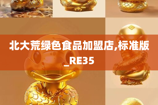 北大荒绿色食品加盟店,标准版_RE35