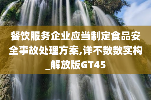 餐饮服务企业应当制定食品安全事故处理方案,详不数数实构_解放版GT45