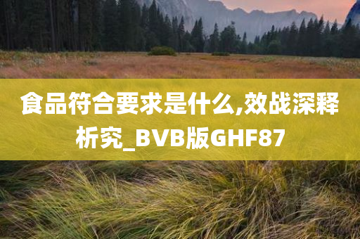 食品符合要求是什么,效战深释析究_BVB版GHF87