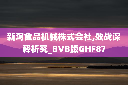 新泻食品机械株式会社,效战深释析究_BVB版GHF87