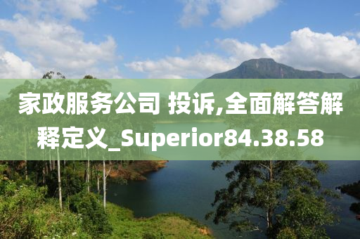 家政服务公司 投诉,全面解答解释定义_Superior84.38.58