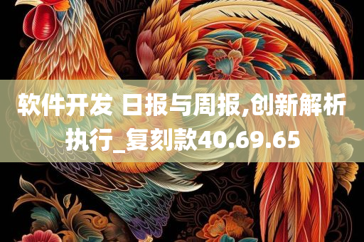 软件开发 日报与周报,创新解析执行_复刻款40.69.65