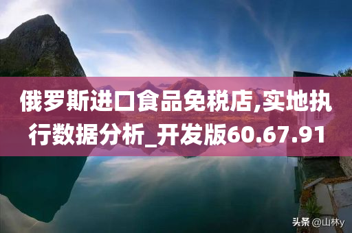 俄罗斯进口食品免税店,实地执行数据分析_开发版60.67.91