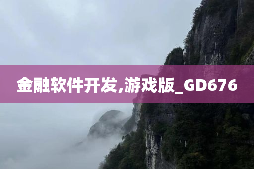 金融软件开发,游戏版_GD676