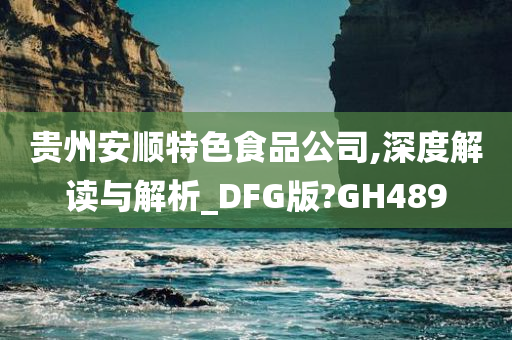 贵州安顺特色食品公司,深度解读与解析_DFG版?GH489