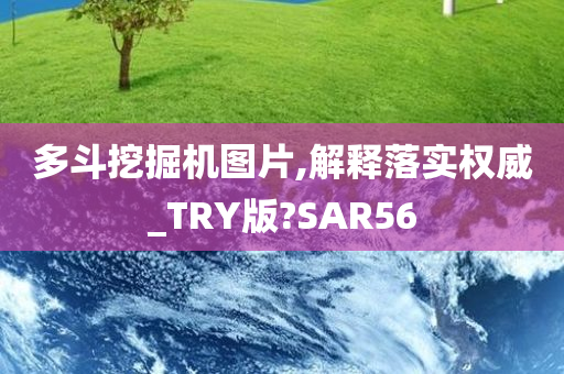 多斗挖掘机图片,解释落实权威_TRY版?SAR56