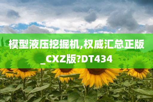 模型液压挖掘机,权威汇总正版_CXZ版?DT434