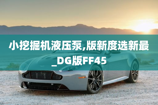 小挖掘机液压泵,版新度选新最_DG版FF45