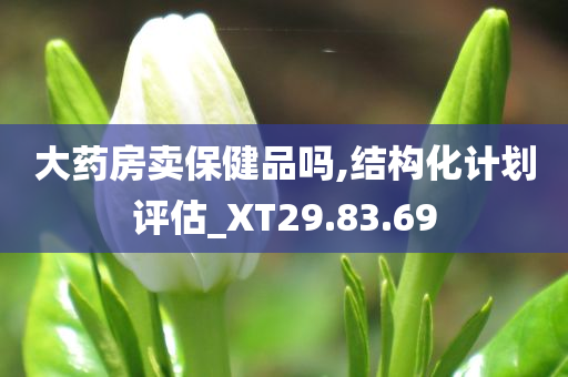 大药房卖保健品吗,结构化计划评估_XT29.83.69