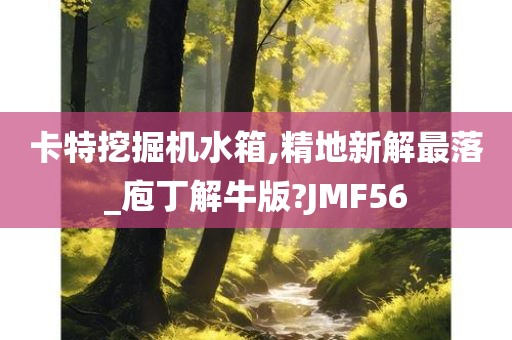 卡特挖掘机水箱,精地新解最落_庖丁解牛版?JMF56