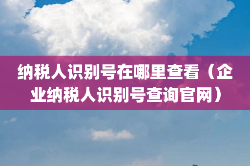 纳税人识别号在哪里查看（企业纳税人识别号查询官网）