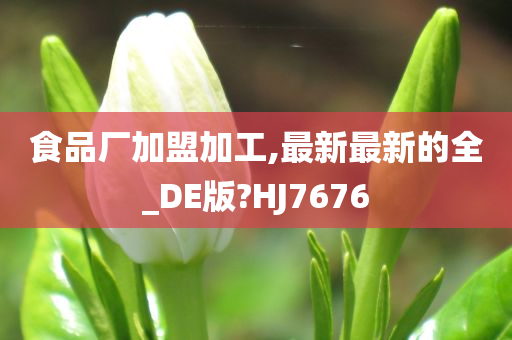 食品厂加盟加工,最新最新的全_DE版?HJ7676