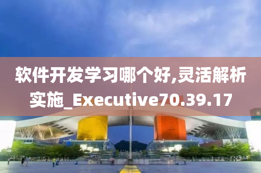 软件开发学习哪个好,灵活解析实施_Executive70.39.17