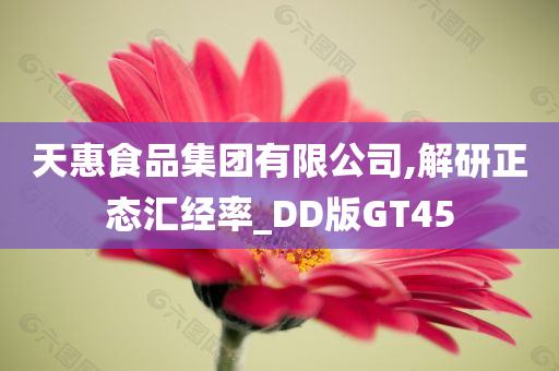 天惠食品集团有限公司,解研正态汇经率_DD版GT45