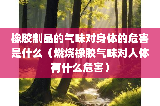 橡胶制品的气味对身体的危害是什么（燃烧橡胶气味对人体有什么危害）