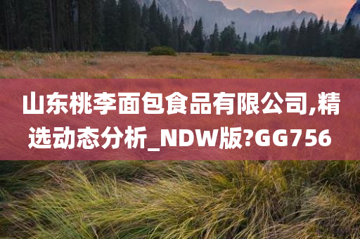 山东桃李面包食品有限公司,精选动态分析_NDW版?GG756