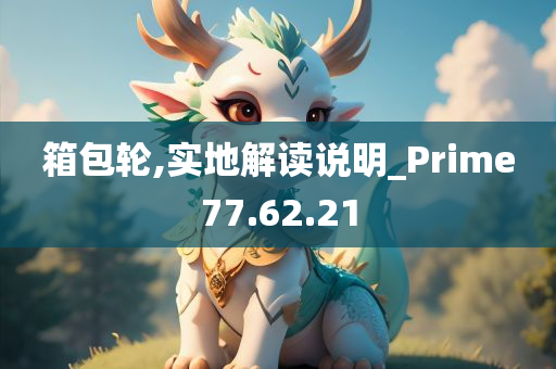 箱包轮,实地解读说明_Prime77.62.21